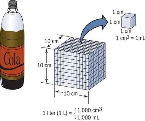 Forensics Chapter 10 Flashcards | Quizlet - balustradellc