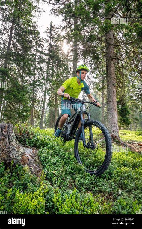 Forest / Hiking / Skiing / Mountain Biking - Pine Mountain Club - raincitystudios.com