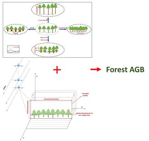 Forest Aboveground Biomass Estimation and … - raincitystudios.com