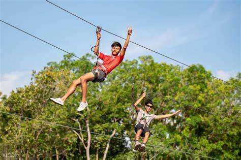 Forest Adventure Singapore - Admission Price - raincitystudios.com