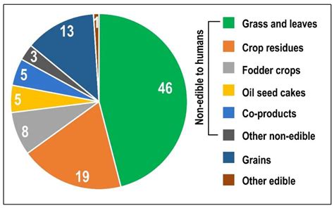 FOREST AGRICULTURAL PRODUCTS - Access World