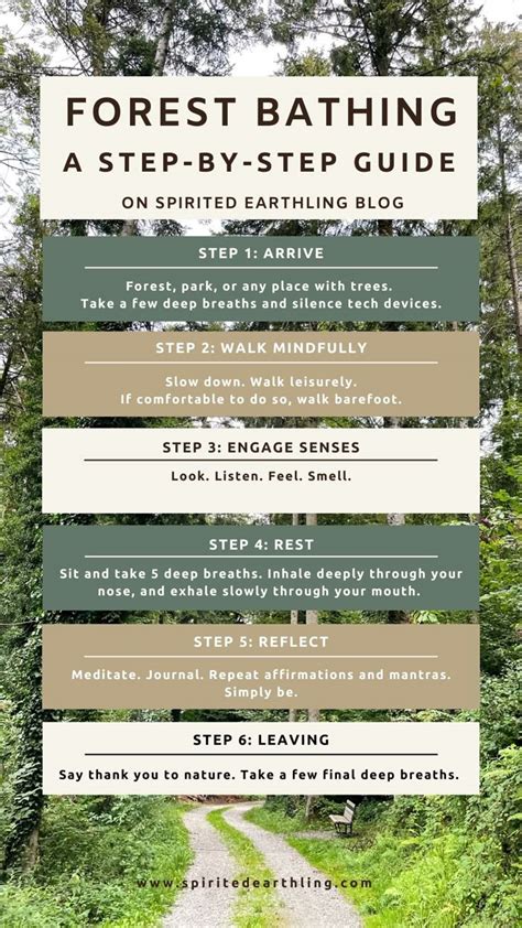Forest bathing: what it is and where to do it | National … - balustradellc