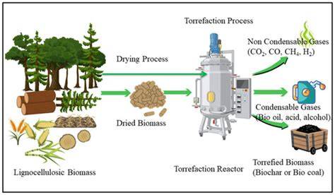Forest biomass as a viable pathway for sustainable energy supply in ... - raincitystudios.com