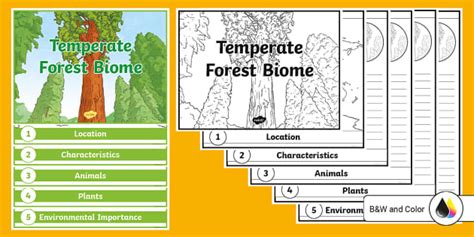 Forest Biome - National Geographic Society - muktibox.com