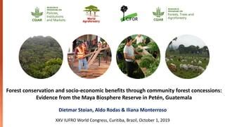 Forest Concessions | Responsibly managed forest concessions can … - raincitystudios.com