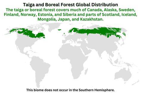 Forest Data by Country and Biome - ArcGIS - raincitystudios.com