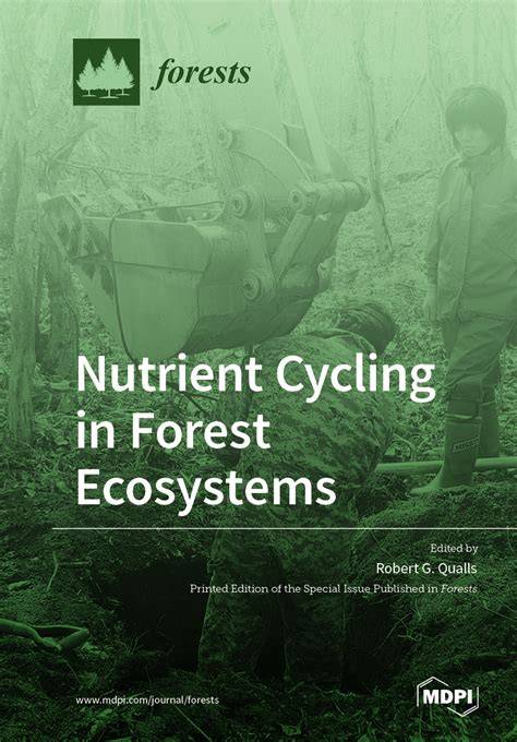 Forest Ecosystems: Nutrient Cycling - ResearchGate - raincitystudios.com