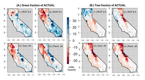 Forest expansion and grassland contraction within a … - raincitystudios.com