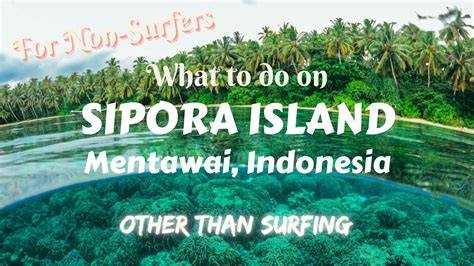 Forest Exploitation Permits on Sipora Island Deemed to Ignore Small ... - raincitystudios.com