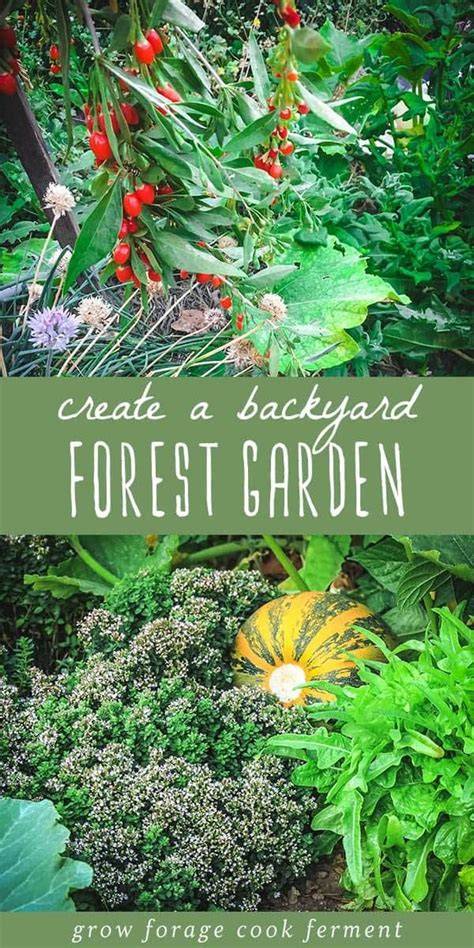 Forest Gardens: How to Create a Food Forest in Your Backyard - raincitystudios.com