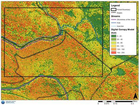 Forest GIS Specialist: Mapping Forest Cover Changes Over Time - raincitystudios.com