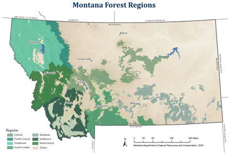 Forest Habitat Types of Montana: Other Vegetation Types - raincitystudios.com