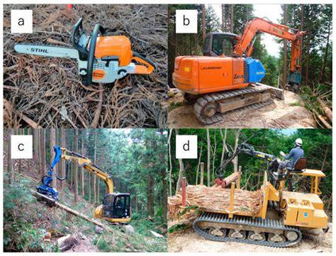 Forest Harvesting Systems: Types & Effects | StudySmarter - raincitystudios.com