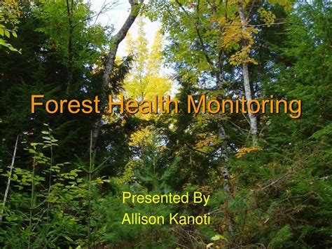 Forest Health Monitoring - US Forest Service - raincitystudios.com