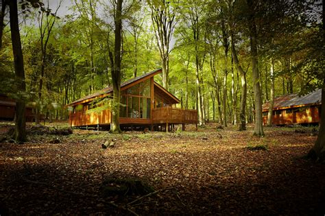 Forest Holidays at Sherwood Pines | Forestry England - raincitystudios.com