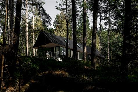 forest house | Interior Design Ideas - balustradellc