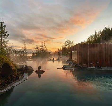 Forest Lagoon - raincitystudios.com