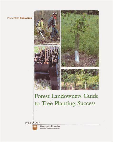 Forest Landowners Guide to Tree Planting … - raincitystudios.com