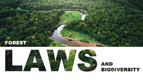 Forest Laws | Forest Atlas of Liberia - raincitystudios.com
