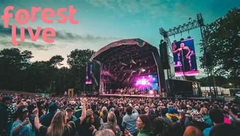 Forest Live | Forestry England - coolestguyplanet.net