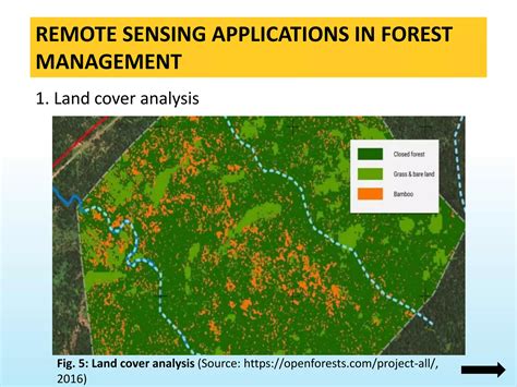 Forest Management Monitoring - raincitystudios.com