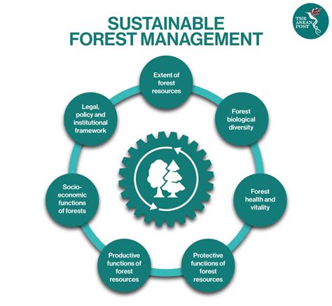 Forest management practices - Maa- ja metsätalousministeriö - muktibox.com