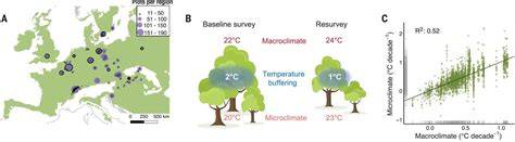 Forest microclimate dynamics drive plant responses to … - raincitystudios.com