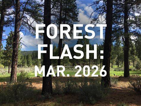 Forest Nutrition (2) March 18.indd - raincitystudios.com