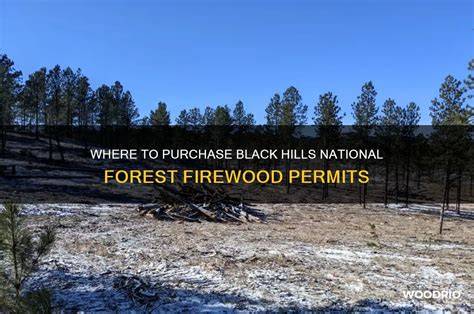 Forest Permits - NSW - Australian Business Licence and Information … - raincitystudios.com