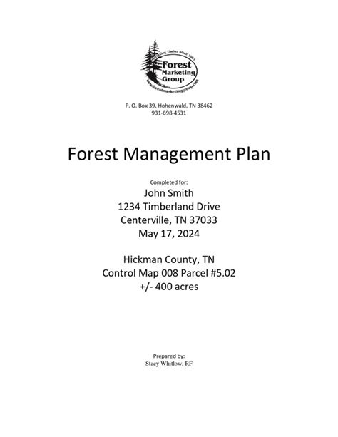 Forest Property Line Management - raincitystudios.com