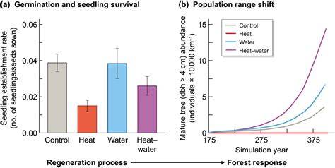Forest regeneration within Earth system models: … - raincitystudios.com