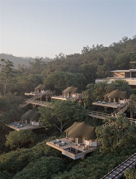 Forest Resort Design Ideas - balustradellc