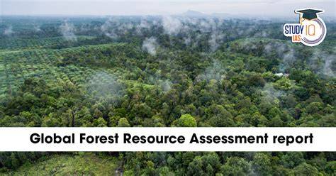 Forest Resource Assessment - an overview | ScienceDirect Topics - raincitystudios.com