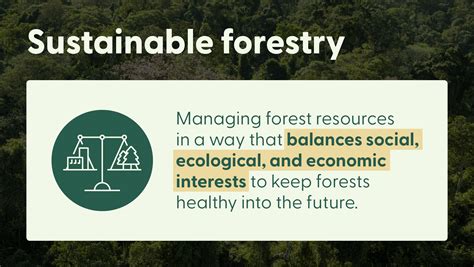 Forest resources and sustainable tourism, a combination for the ... - raincitystudios.com