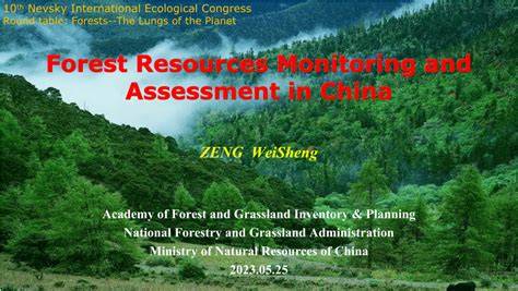 Forest Resources Monitoring and Assessment in China - raincitystudios.com