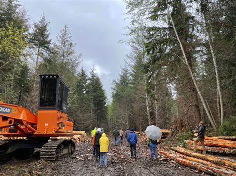 Forest Stewardship: Timber Harvesting: An Essential … - balustradellc