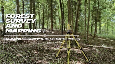 Forest Survey and Mapping with GIS and MIS Technology - raincitystudios.com