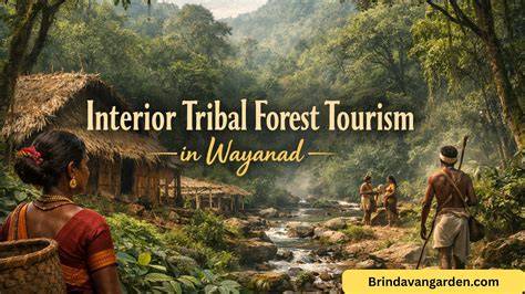 Forest tourism | Springer Nature Link - raincitystudios.com