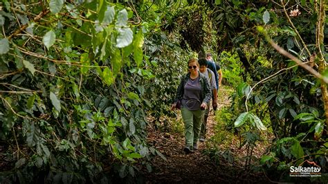 Forest Trekking: The Ultimate Guide For All The … - balustradellc