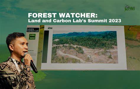 Forest Watch Indonesia - raincitystudios.com