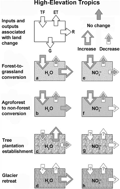 Forest-to-grassland conversion reduces ground beetles (Coleoptera ... - raincitystudios.com