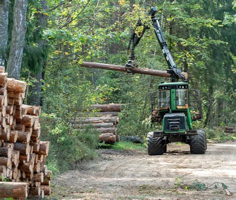 Forestry | Scientific Reports - Nature - raincitystudios.com