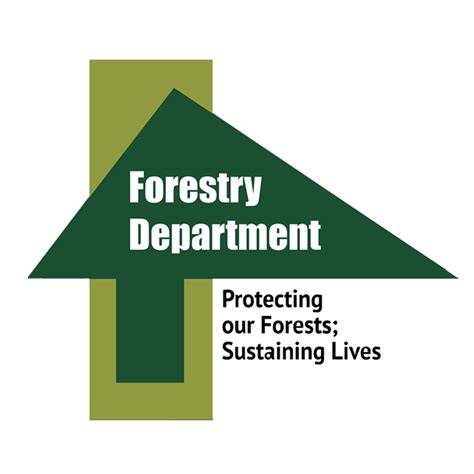 Forestry Department - Montane - raincitystudios.com