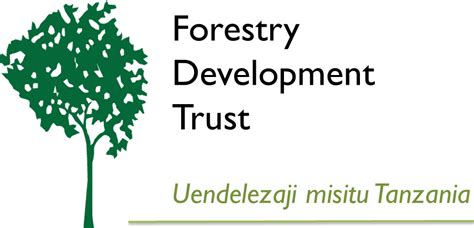 Forestry Development Trust - Tanzania | Building Tanzania's forestry ... - raincitystudios.com
