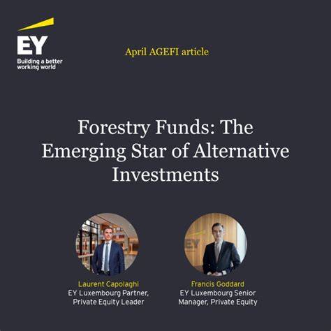 Forestry Funds: The Emerging Star of Alternative … - raincitystudios.com