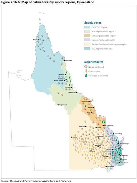 Forestry in North Queensland: A Supply Chain Snapshot - raincitystudios.com