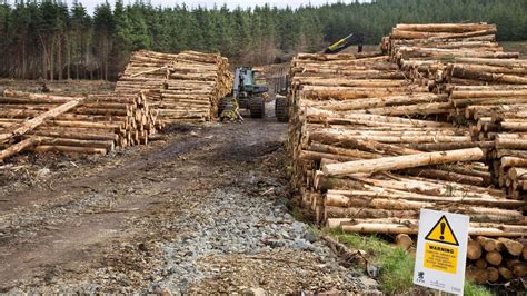 Forestry project checks: all projects - GOV.UK - raincitystudios.com