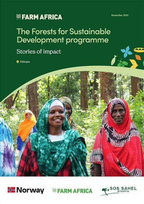 FORESTS AND SUSTAINABLE DEVELOPMENT - raincitystudios.com