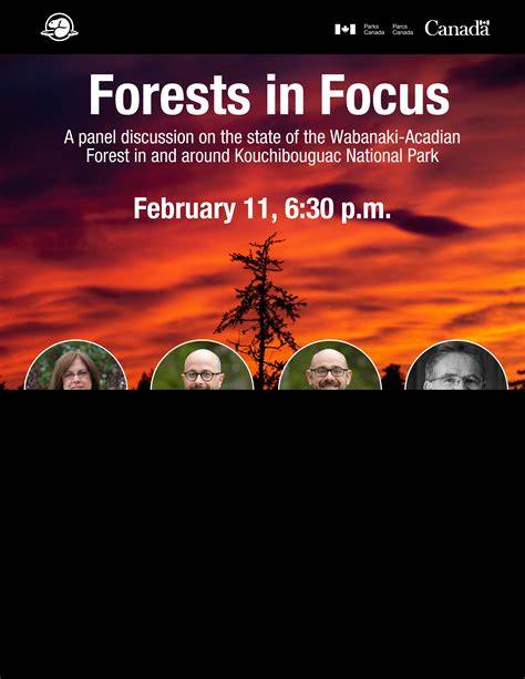 Forests in focus - Nature Climate Change - raincitystudios.com