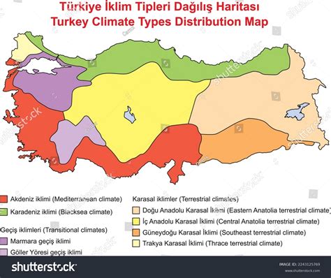 Forests in Turkey explained - balustradellc